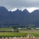 Vineyards sit beneath hills at a farm near Stellenbosch, in the country’s wine producing region